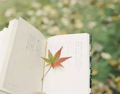 讀書(shū)，也是一種旅行——企業(yè)管理視角下的閱讀智慧